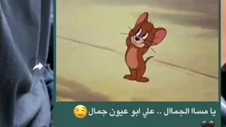 يا مسا الجمال جنات حالات واتس اب 