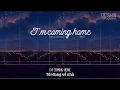 Download Lagu Vietsub + Lyrics | Skylar Grey | Im coming home (Part 2)