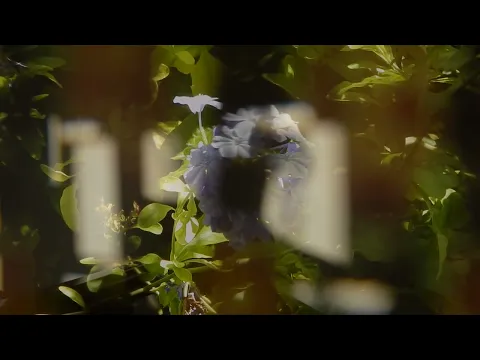 Recordar para no olvidar - Trailer