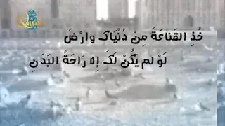 اشتد نزعي وصار الموت يطلبها دندنها