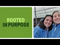 PepsiCo Careers How we re working with regenerative agriculture