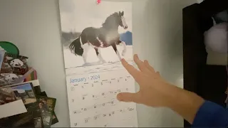 Best Horse Calendars for Kids