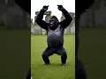 Lagu Baby Dhol Beats \u0026 Gorilla Thumkas at Stonehenge 🌍🥁🦍 | Fun Dance Vibes