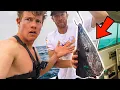 Download Lagu WAT VANGEN WE MET DEZE GROTE VISSENKOP ALS AAS?!🤔🦈