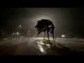 Tropical Storm Nicole hits Polk County overnight