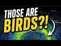 Wait those are BIRDS on Doppler radar