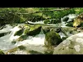 Eastern Sounds 1 | Relaxing Music for Meditation, Zen, Yoga & Stress Relief