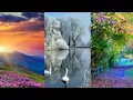 Beautiful top 20 nature pics for DP Profile pic