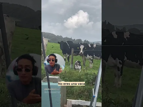 En su mente 🐶🐮 #dog #perro #vaca #animals #alejandroat