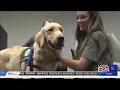 St Jude s Paws at Play program introduces newest employees - Huckleberry Puggle