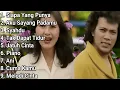Download Lagu Full Album Lagu Cinta Rhoma Irama Dengan Ani