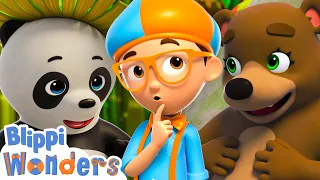 Panda Bear vs. Brown Bear! 🐼 Which Is Blippi's Favorite Bear? 🐻 Blippi Cartoons