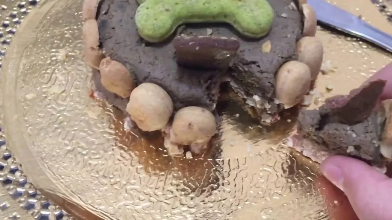 Receita Bolo Pra Cachorro + Niver Cacau!