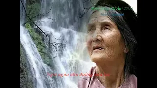 Karaoke Bông Hồng Cài Áo (2015) - ( Tone NAM )