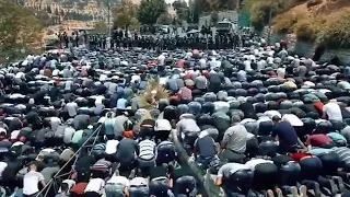 أنشودة    القدس  قبلة الجمال سنأتي إليك نشد  الرحال  أحمد  النفيس الكلمات في الوصف      دندنها