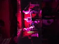 How to Feel - Useless Cities live @ The Workshop, London