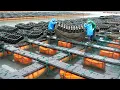 Download Lagu Incredible Productivity! Korea's Amazing Mass-Producing Food Factory TOP 5