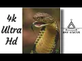 Nag panchami 4k whatsapp Status / mera bhola hai bhandari status / Bhole nath status
