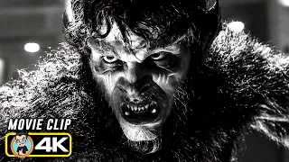 THE BEAST IS UNLEASHED! | Werewolf by Night (4K)