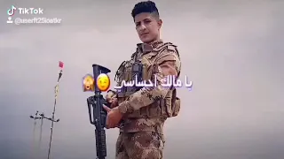 محمد الفضه ستوريات دندنها