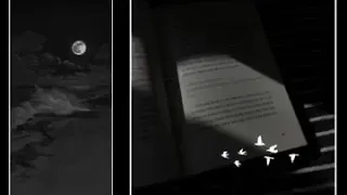 قصف جبهات حالات واتس اب قصف جبهات اشعار عراقيه حزينه ستوريات انستا 