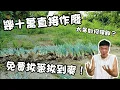 Download Lagu 蔥價崩盤整片打掉！我衝進田裡狂拔爆量蔥｜直接煎成超香蔥蛋｜教你不冰箱保鮮蔥的祕密