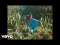 Download Lagu Gabi Hartmann - Salinda, la fille aux yeux de sel (Clip officiel)