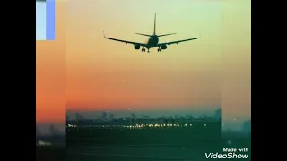 خايفة لما تسافر 