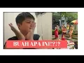 Download Lagu PROJECT POP - Coconut (REACTION)