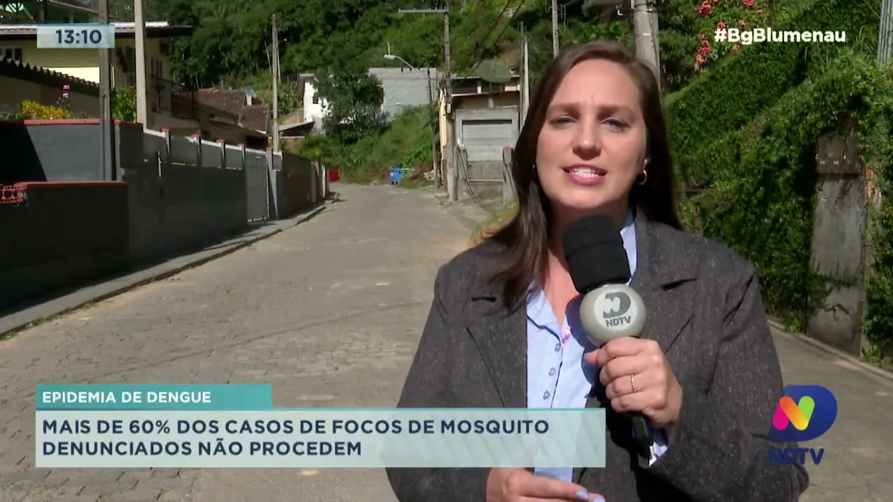 Mais de 60% dos casos de focos de mosquito da Dengue denunciados em Blumenau não procedem