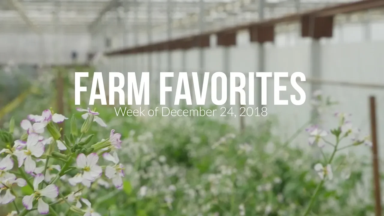 Farm Favorites   Week of Dec  24, 2018