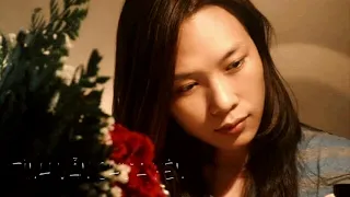 Tình vẫn chưa yên