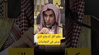 حكم أكل الدجاج الذي يرعى في النجاسات  الشيخ  عبدالسلام الشويعر  كبار دندنها