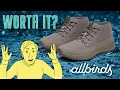 I Bought New Waterproof Allbirds Shoes RIGHT Before Their AI Pivot