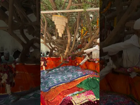 Nagaur Sharif Ki Dargah Hazrat Sufi Hamiduddin Nagori (R.A) Ki Dargah Nagaur Rajasthan #dargah