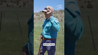 How Does Wolf Mitigation Work 