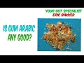 Is Gum Arabic Any Good