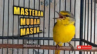 Download MASTERAN BURUNG MANTENAN MP3