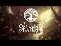 Download Lagu Discoshaman - Wow (Steffen Kirchhoff Remix)