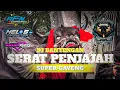 Download Lagu DJ BANTENGAN SERAT PENJAJAH ( SUPER GAYENG ) | BANTENGAN GELAP NGAMPAR FEAT HELOS PRODUCTION