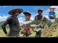 Download Lagu धने भेनाहरूको रोपई मा माछैमाछा काम गर्दा गर्दा रात पर्ना लागियो#villagevlog ~min joi