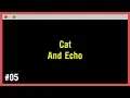 Arabic Learn Command Line - Cat And Echo