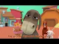 Kukuli - Donkey My Friend