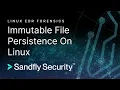 Immutable File Attack Persistence on Linux