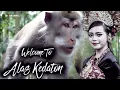 Download Lagu TOURISM PLACE  IN ALAS KEDATON TEMPLE 2021 /  KUKUH  VILLAGE / MARGA DISTRICTS / TABANAN REGENCY