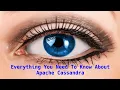 Apache Cassandra Everything You Need To Know