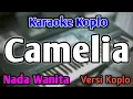 Download Lagu CAMELIA - KARAOKE || NADA WANITA CEWEK || Versi Koplo