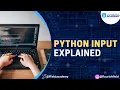 Master Python Basics Make Interactive Programs with Easy User Input Flourish Field Academy