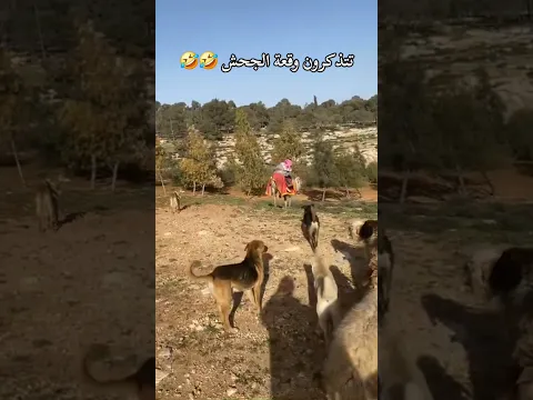 طنفوس وقع من فوق الجحش 🤣
