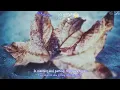 红豆 - Faye Wong /王菲 - Wáng Fēi/ Hồng đậu - Vương Phi/ Red Bean || Kara-Vietsub-Engsub